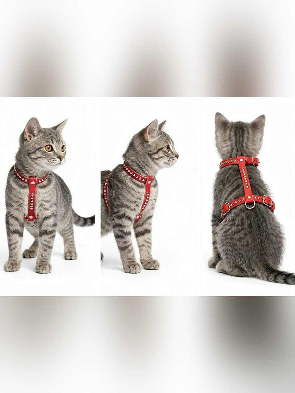 Red Studded Leather Pet Harness Collar -14